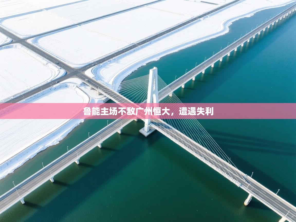 开云体育夜间模式开启-鲁能主场不敌广州恒大，遭遇失利  第1张