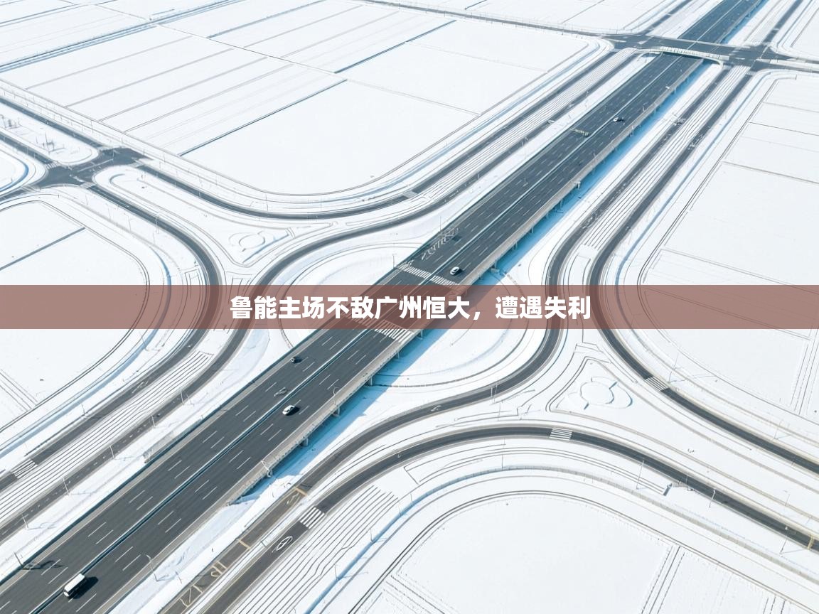 开云体育夜间模式开启-鲁能主场不敌广州恒大，遭遇失利  第2张