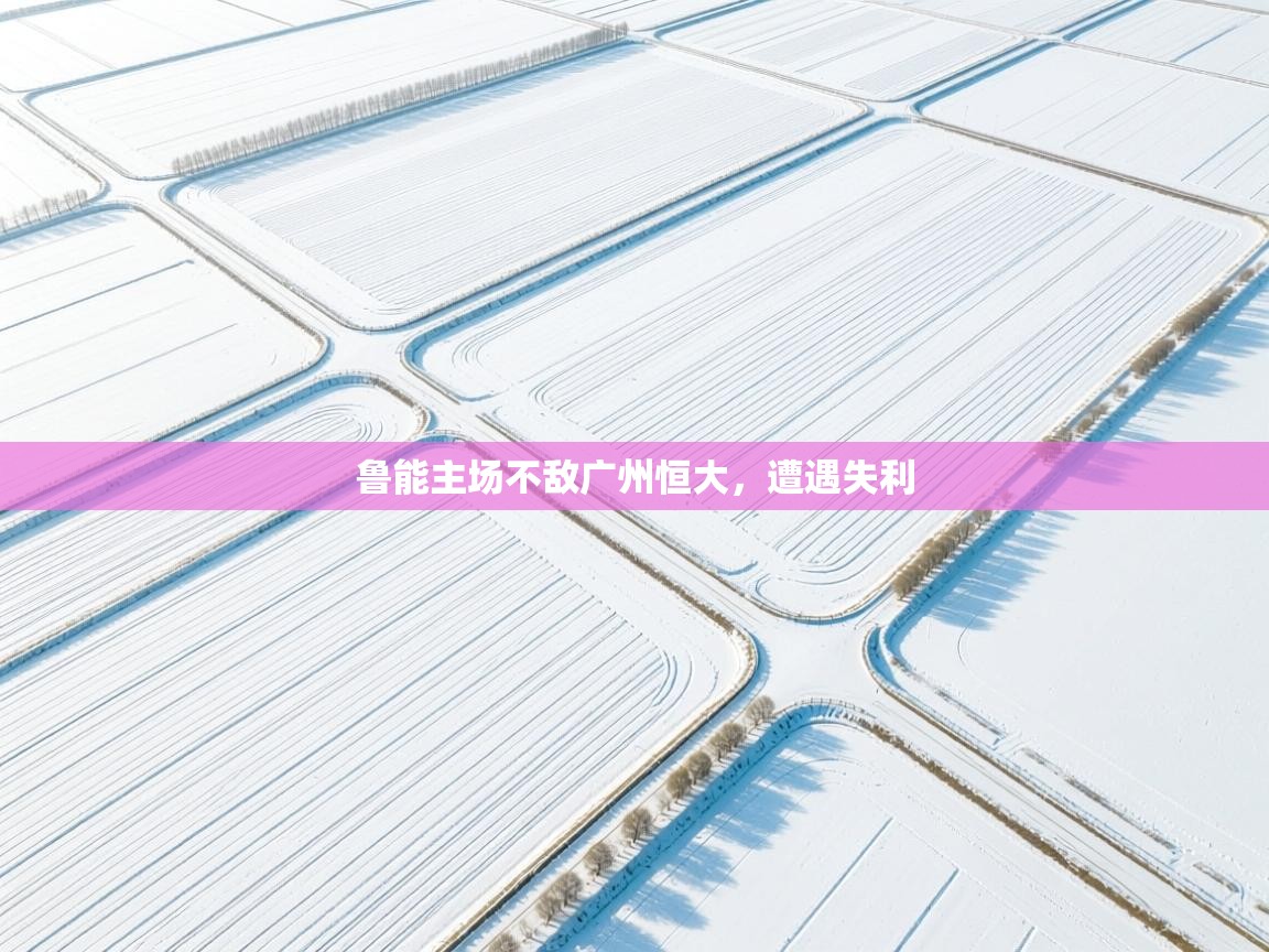 开云体育夜间模式开启-鲁能主场不敌广州恒大，遭遇失利  第3张