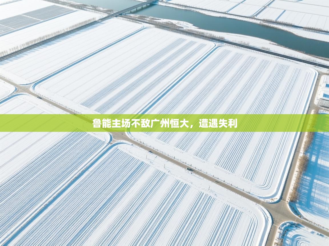 开云体育夜间模式开启-鲁能主场不敌广州恒大，遭遇失利  第4张