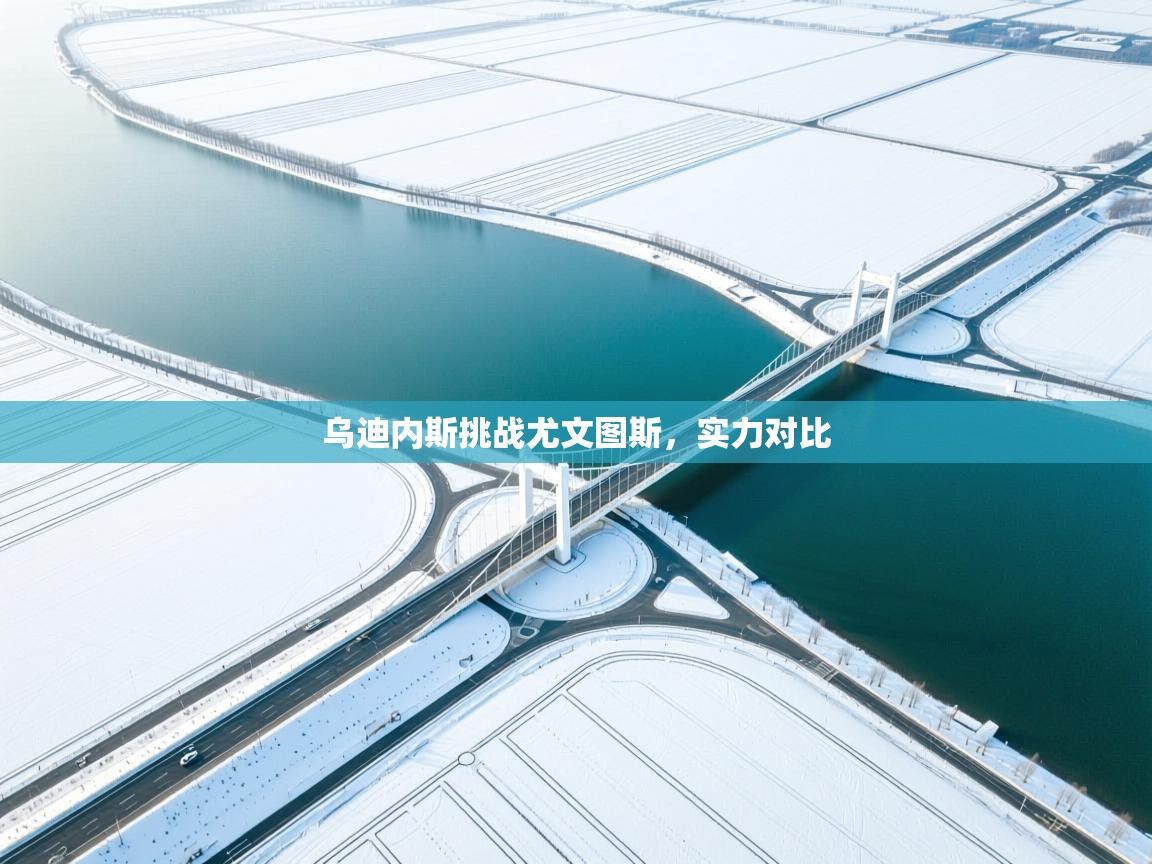 开云体育app下载地址-乌迪内斯挑战尤文图斯，实力对比  第3张