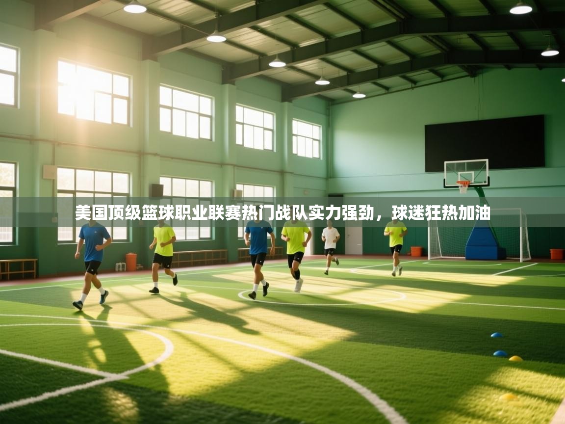 开运体育入口-美国顶级篮球职业联赛热门战队实力强劲，球迷狂热加油  第3张