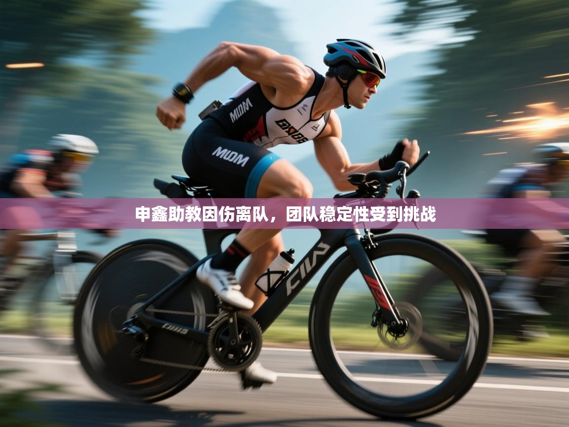 开云体育app下载安装免费-申鑫助教因伤离队,团队稳定性受到挑战 第1张