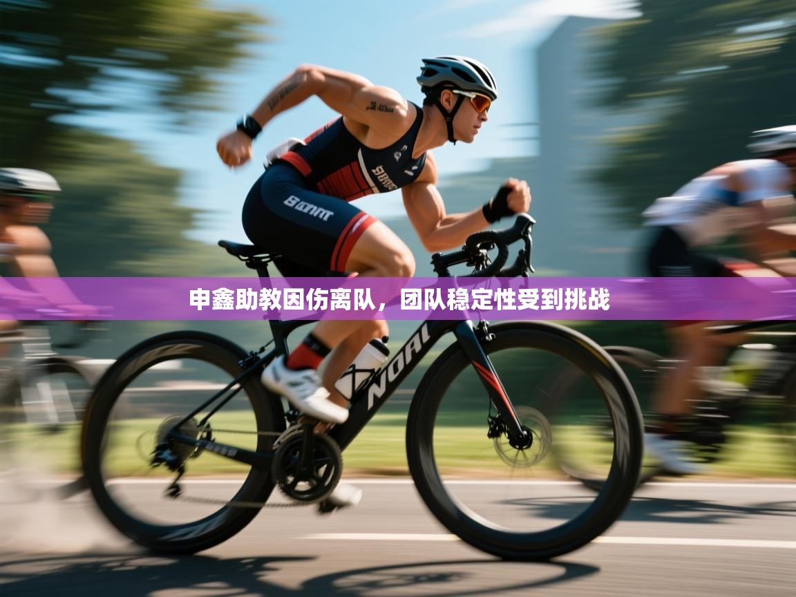 开云体育app下载安装免费-申鑫助教因伤离队,团队稳定性受到挑战 第3张