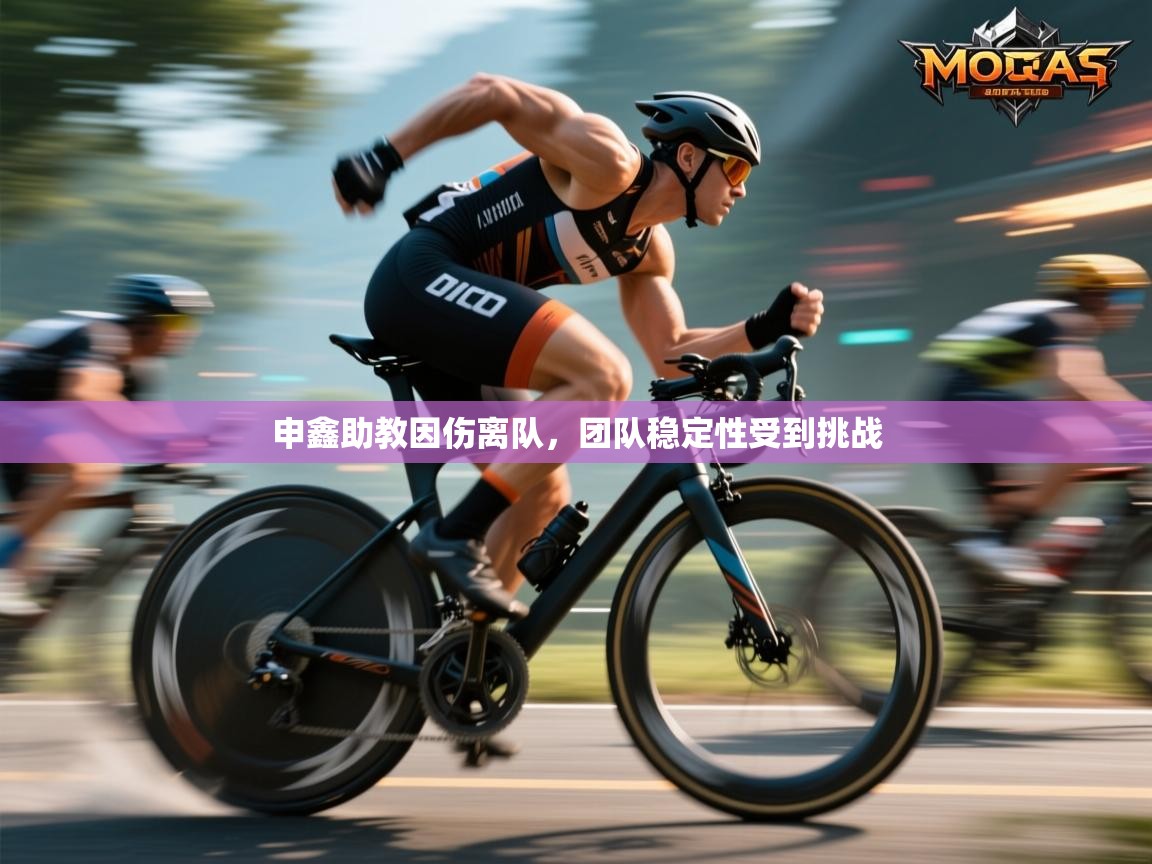 开云体育app下载安装免费-申鑫助教因伤离队,团队稳定性受到挑战 第4张