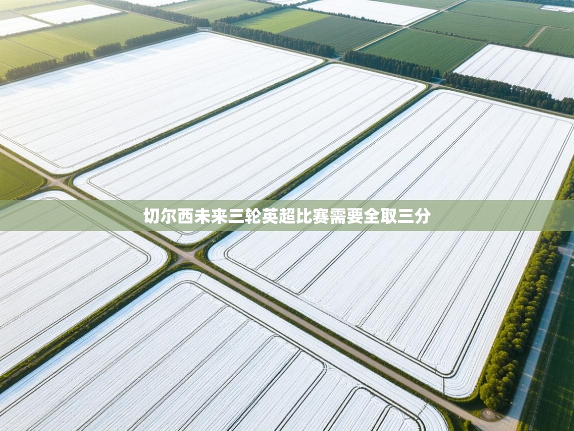 云开体育app登录入口-切尔西未来三轮英超比赛需要全取三分  第2张