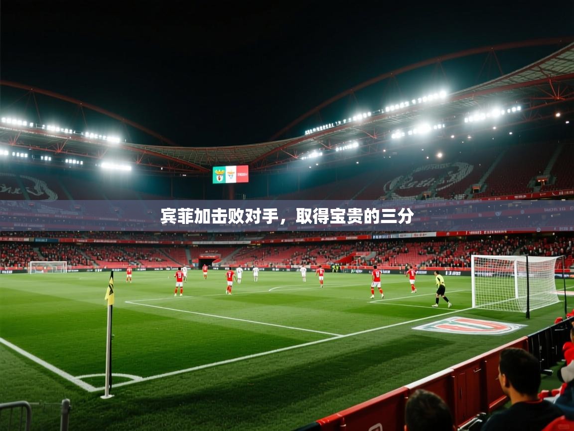 开云体育入口注册-宾菲加击败对手，取得宝贵的三分  第4张