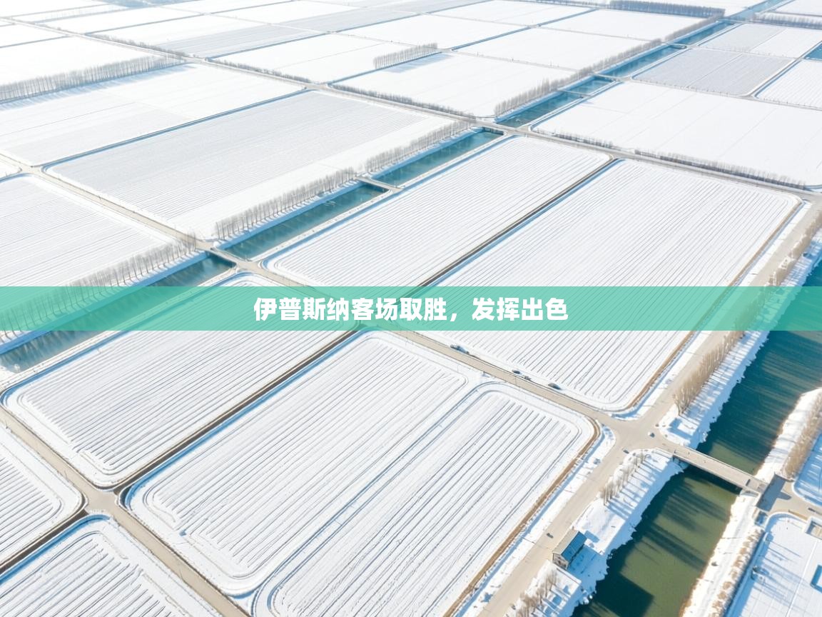 开云体育app官网入口-伊普斯纳客场取胜，发挥出色  第1张