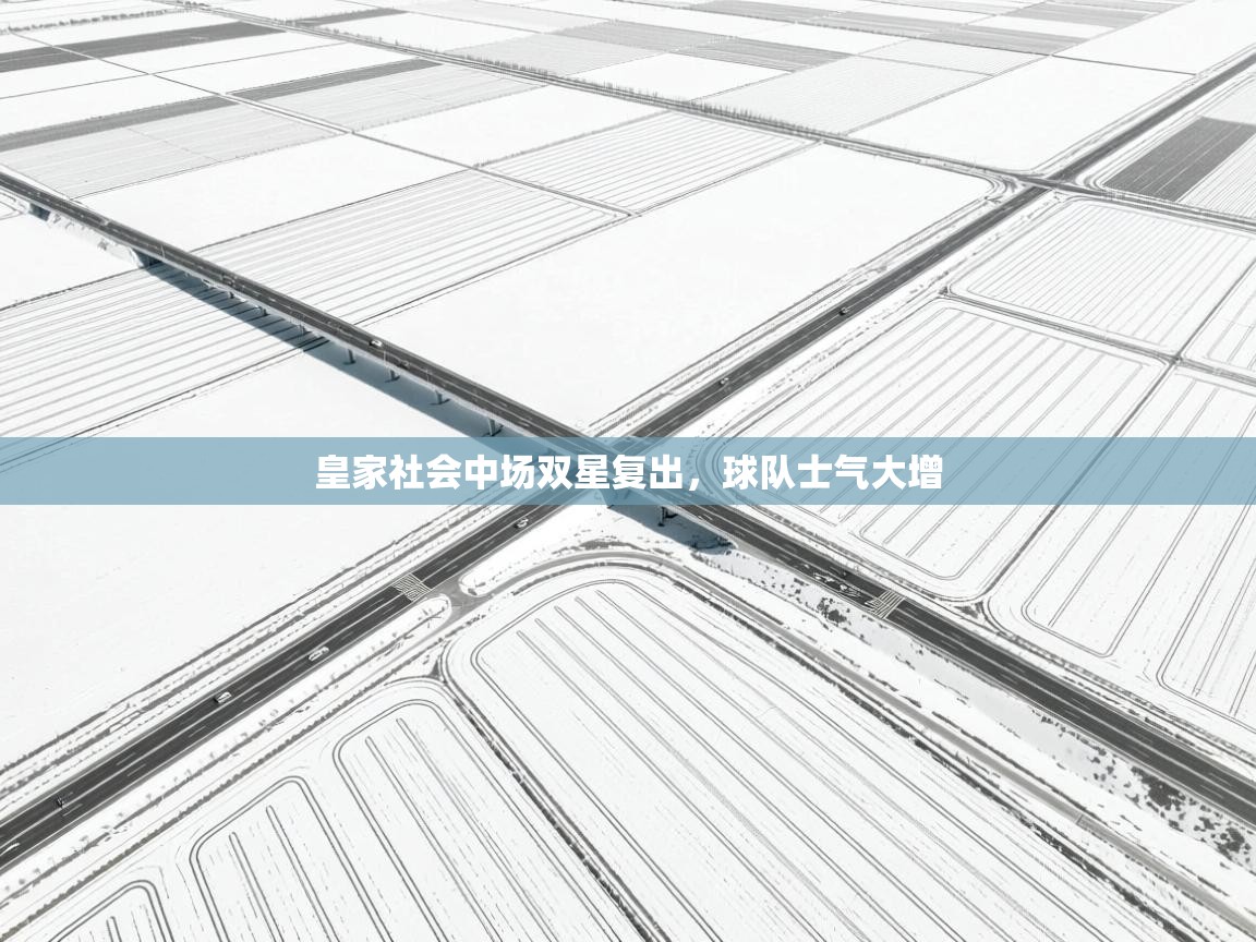 开云体育实名认证入口-皇家社会中场双星复出，球队士气大增  第3张