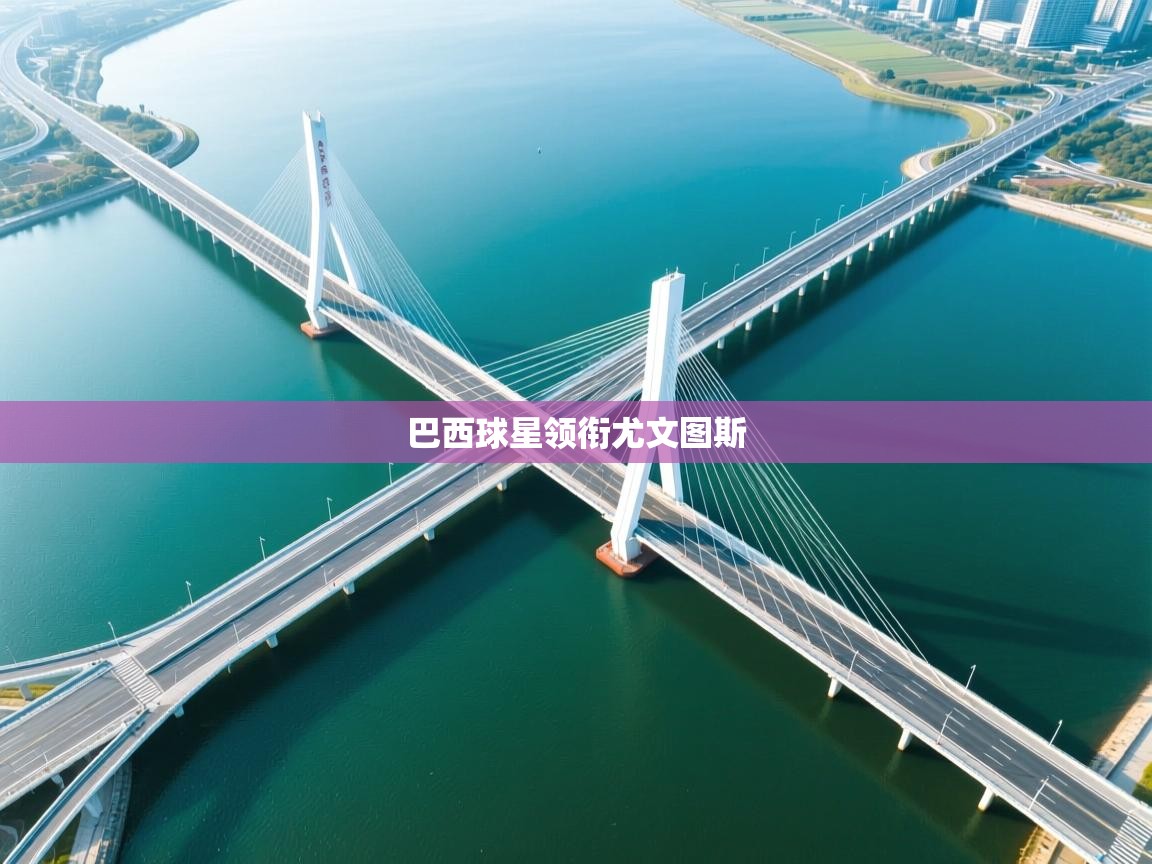 云开体育官网入口登录网页-巴西球星领衔尤文图斯 第4张